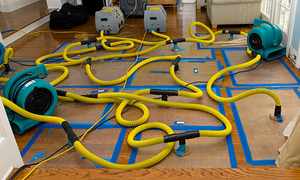 Professional Burst Pipe Water Damage technician working in Russellville, KY